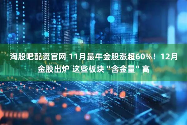 淘股吧配资官网 11月最牛金股涨超60%！12月金股出炉 这些板块“含金量”高